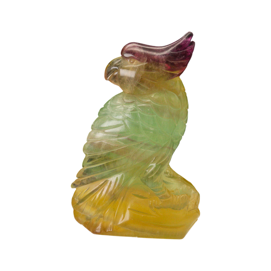 Parrot Carving – Multi-Coloured Fluorite