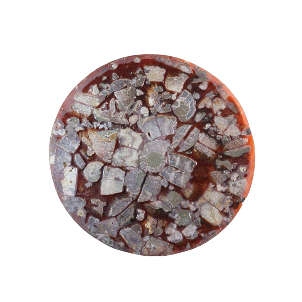 Composite Fossil Plate (Assembled Art Form)