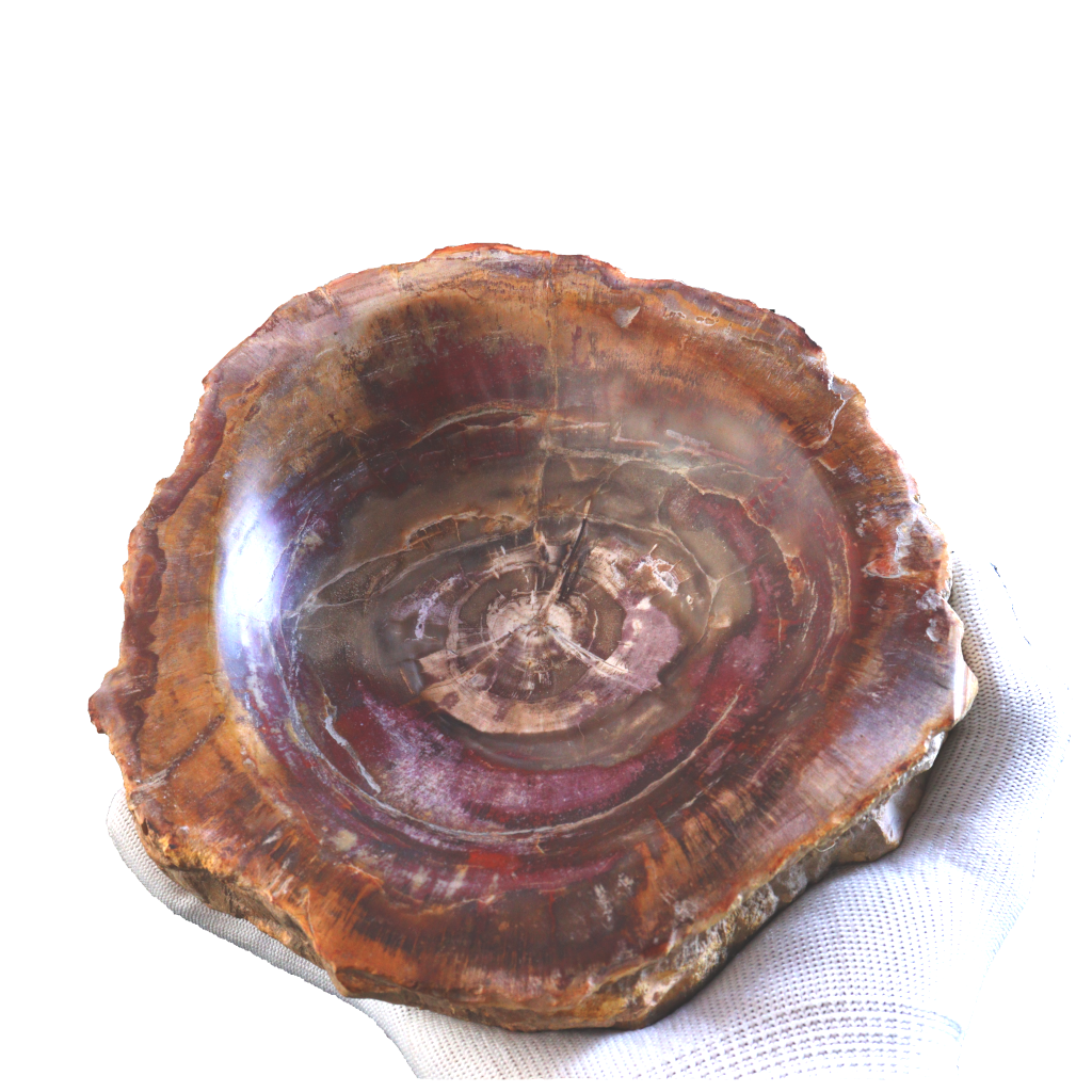 Petrified Wood Bowl