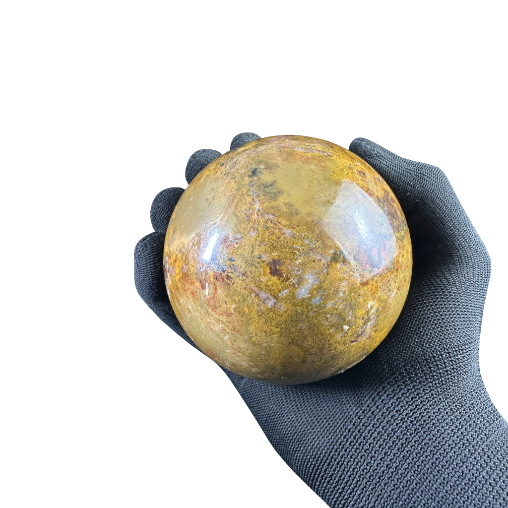 Petrified Wood Sphere