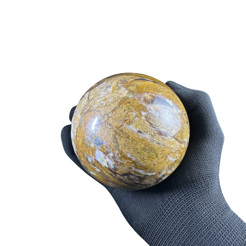 Petrified Wood Sphere