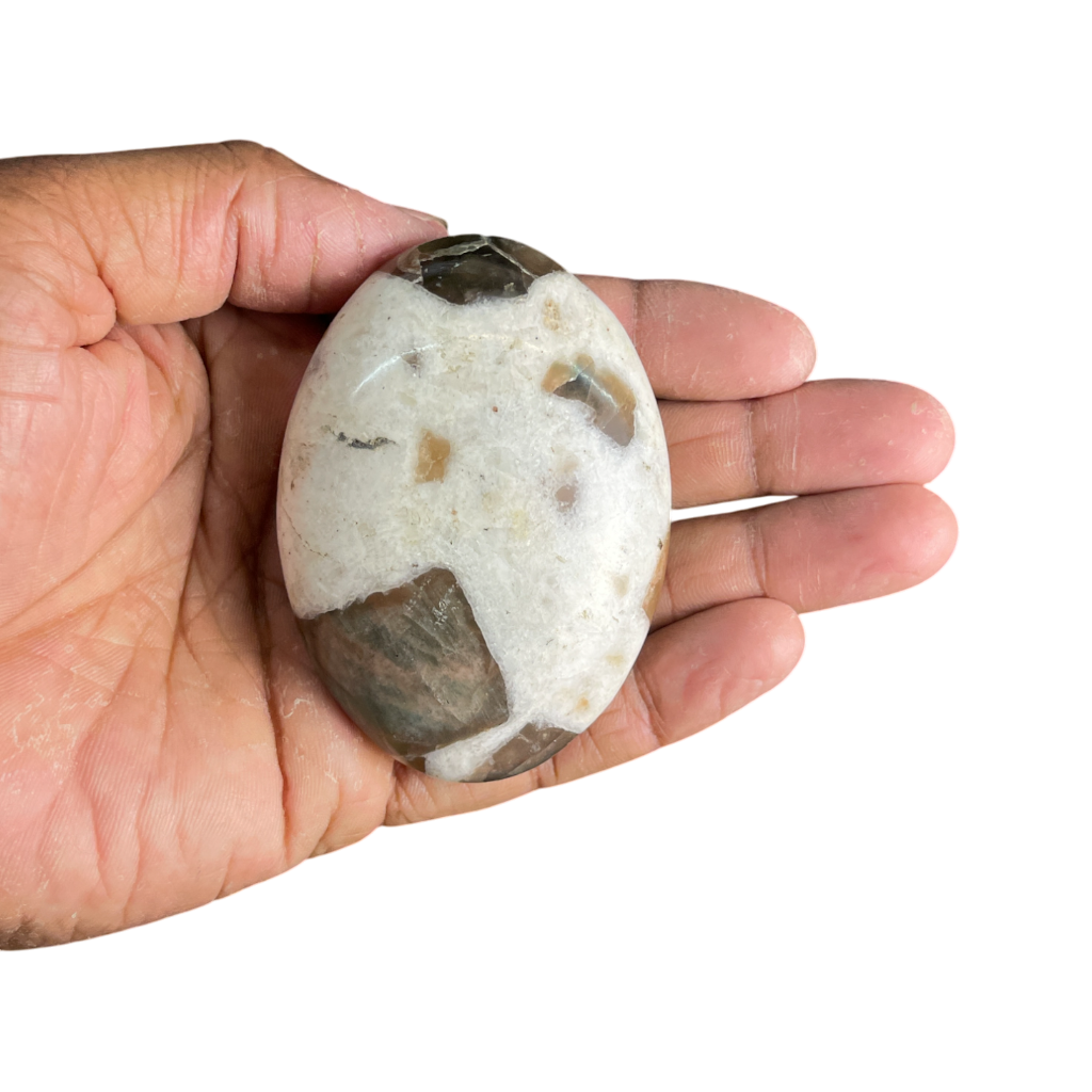 Brown Moon Stone Palm