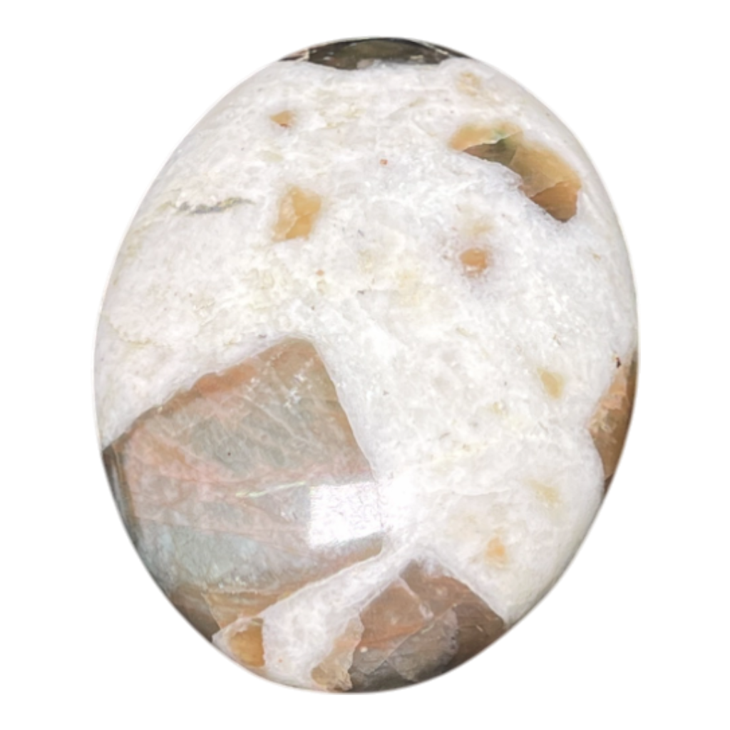 Brown Moon Stone Palm