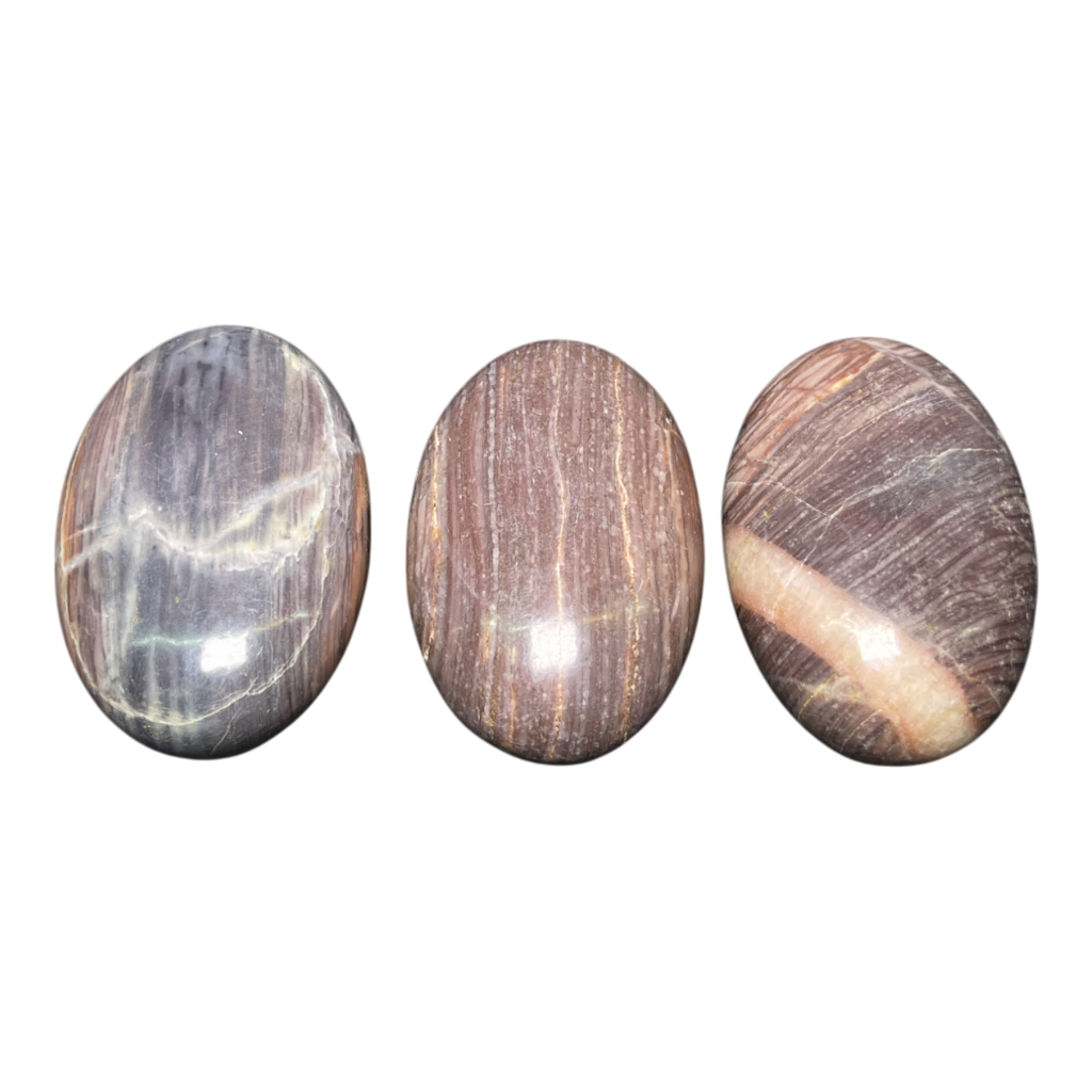 Brown Moon Stone Palm