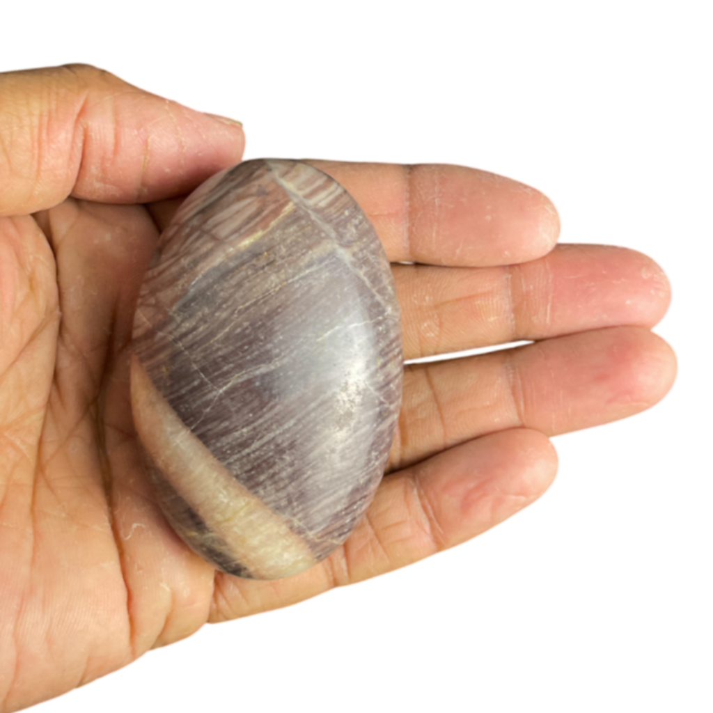 Brown Moon Stone Palm