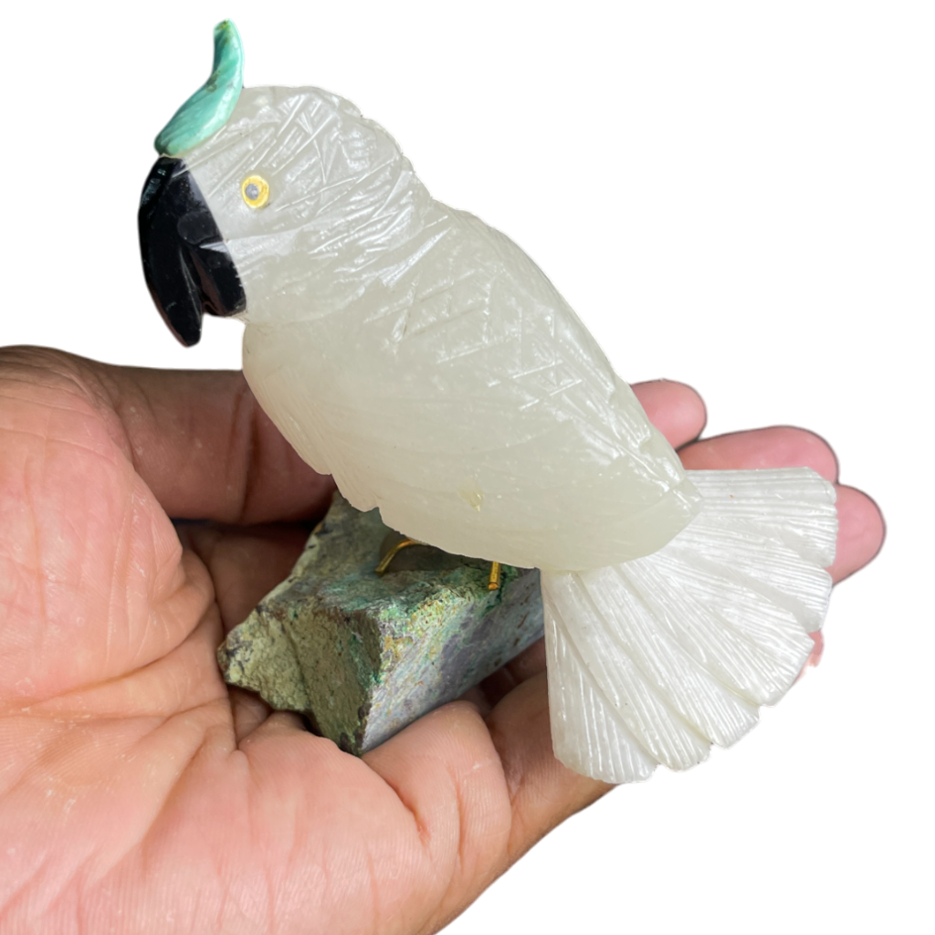 Cockatoo Birds Carving