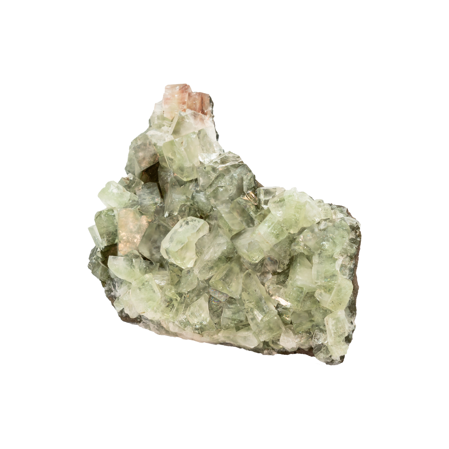 Green Apophyllite