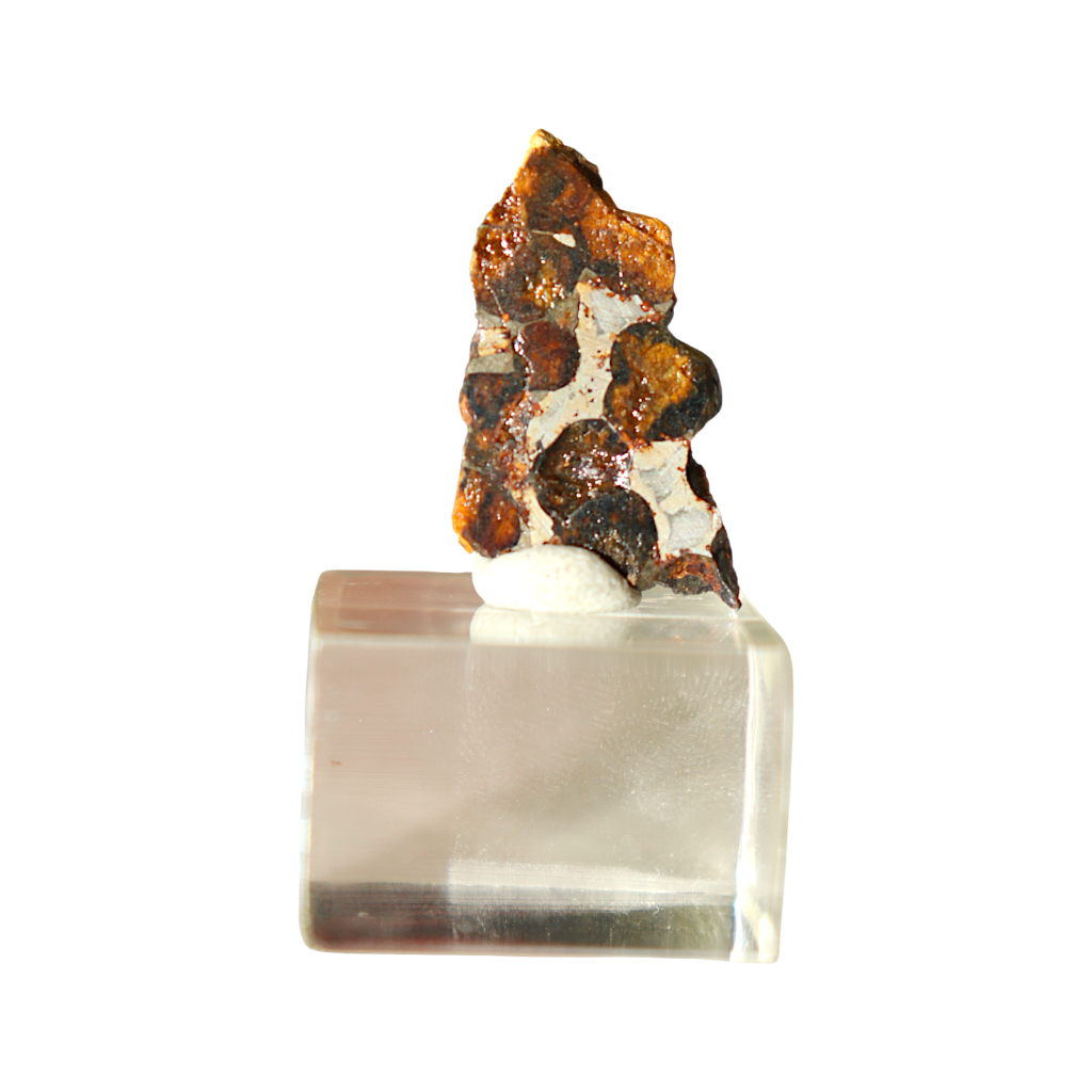 Sericho Pallasite Meteorite