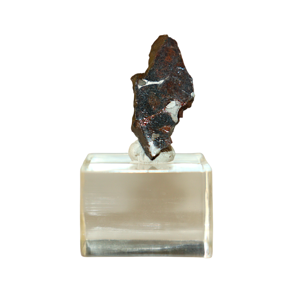 Sericho Pallasite Meteorite
