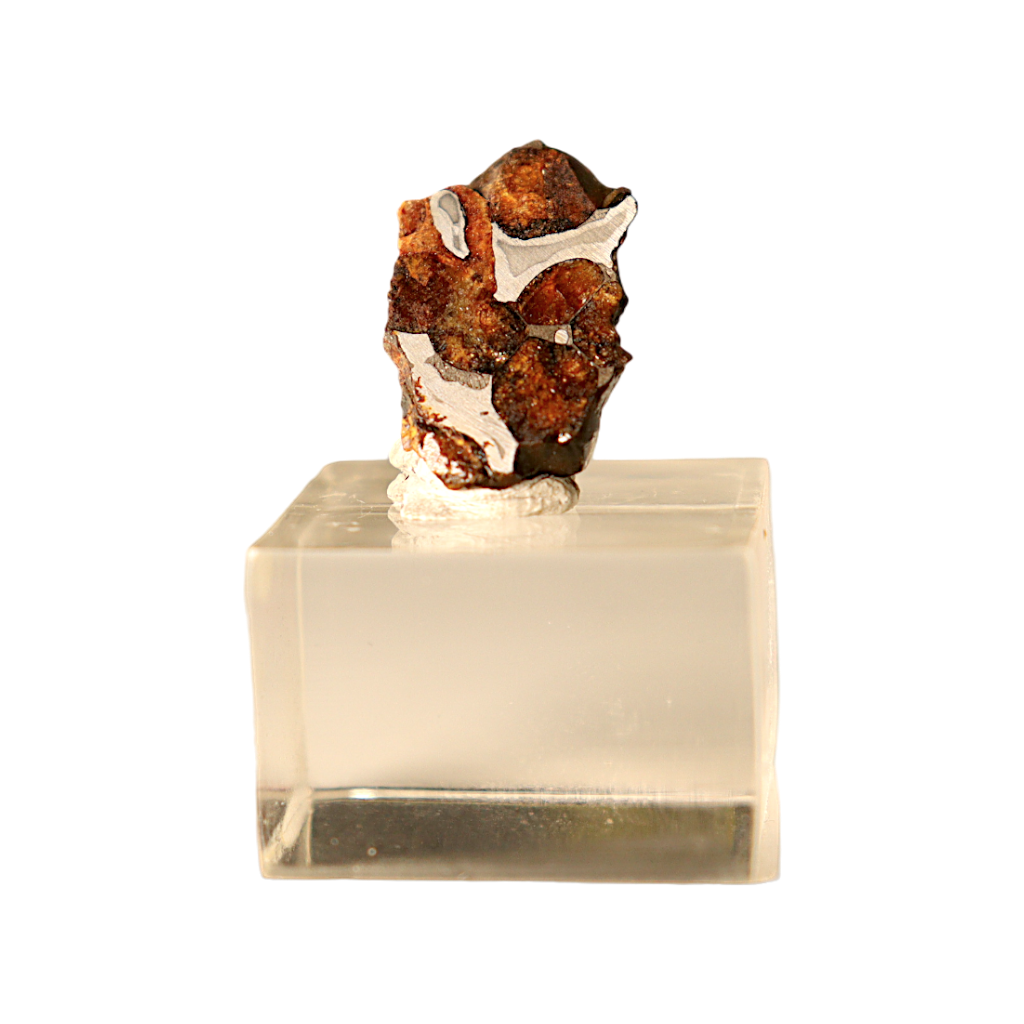 Sericho Pallasite Meteorite