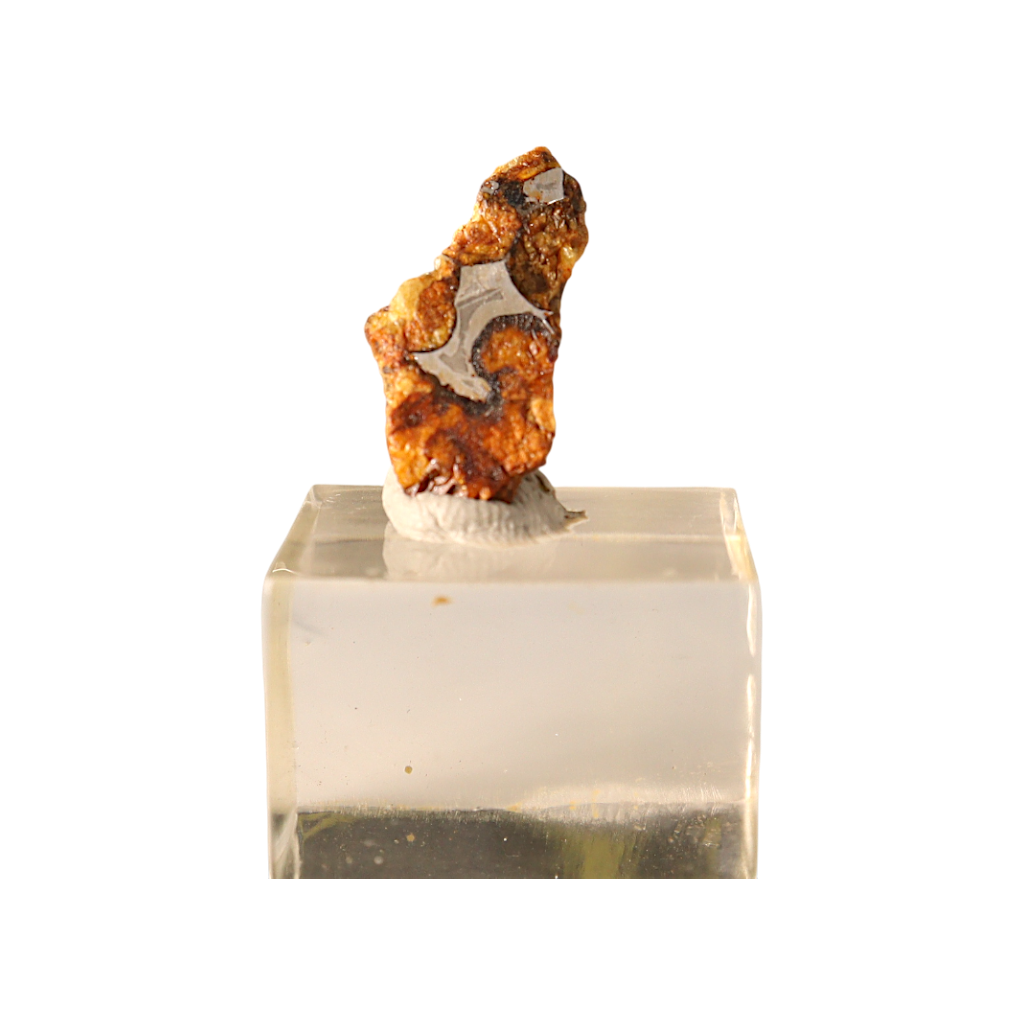 Sericho Pallasite Meteorite
