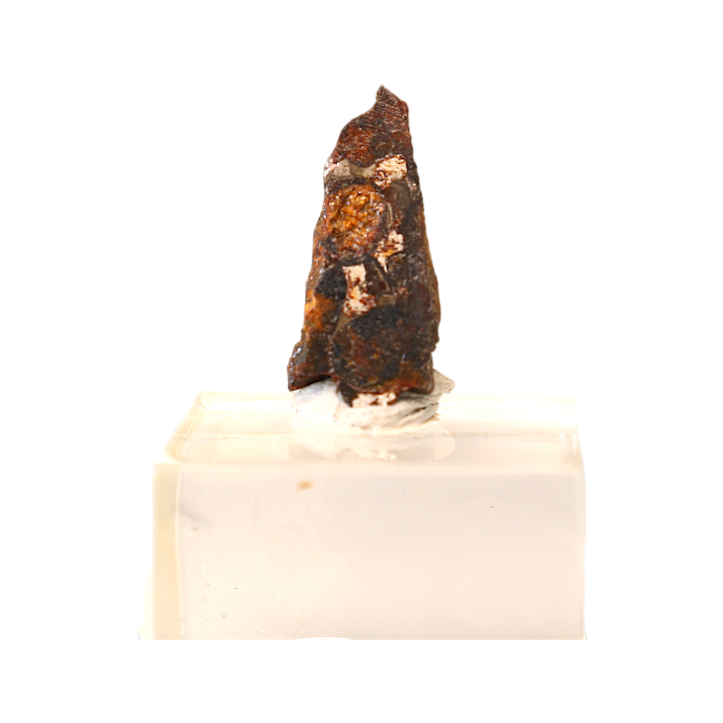 Sericho Pallasite Meteorite