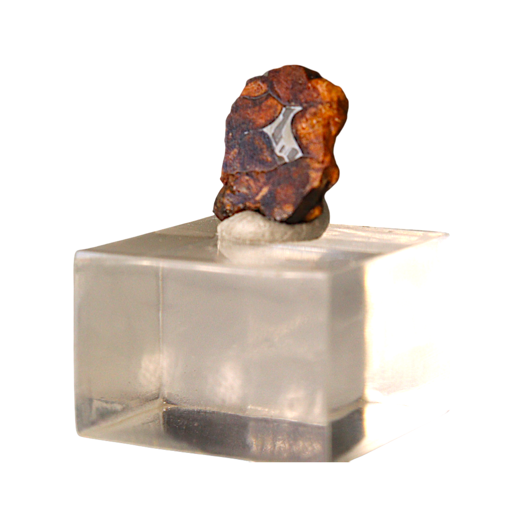Sericho Pallasite Meteorite