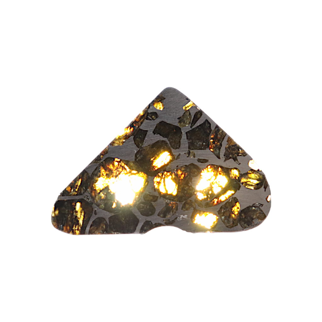Seymchan Pallasite