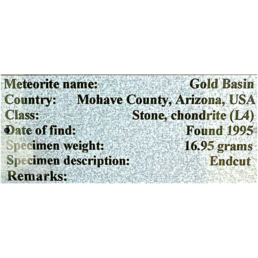 Meteorite (Gold Basin)