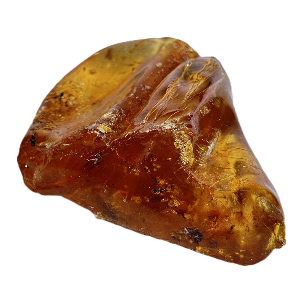 Insects in Amber