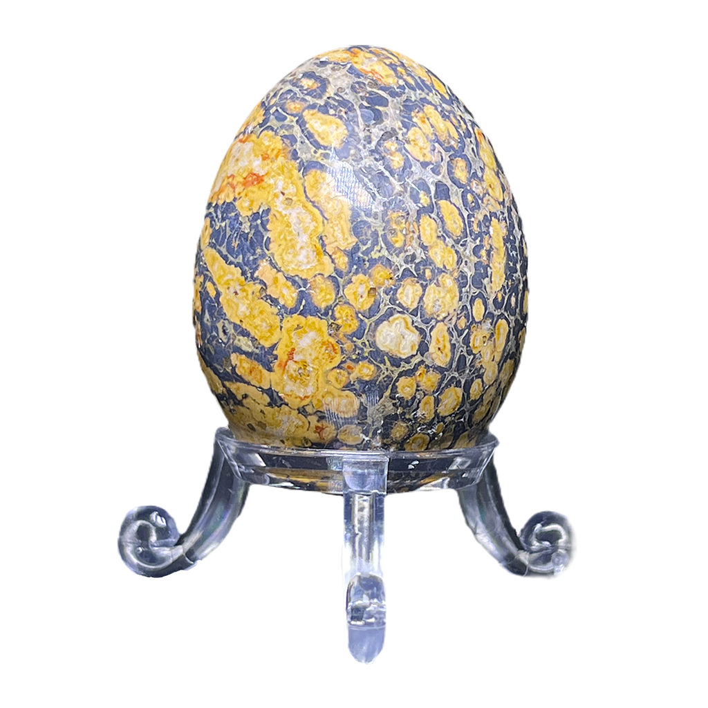 Cobra Jasper Egg