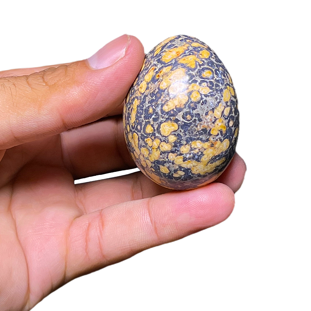 Cobra Jasper Egg