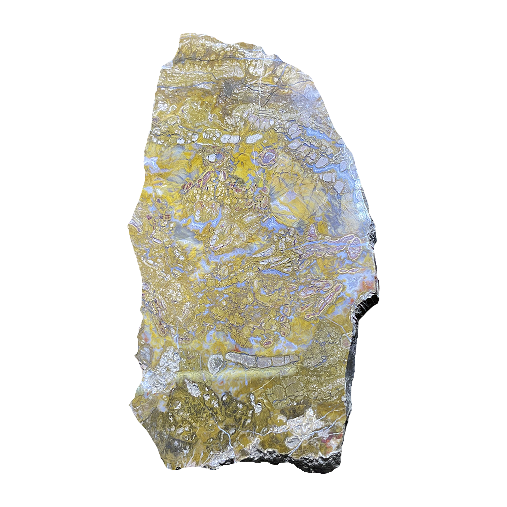 Petrified Wood Plate