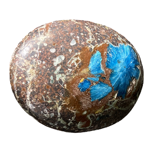 Cavansite Cab