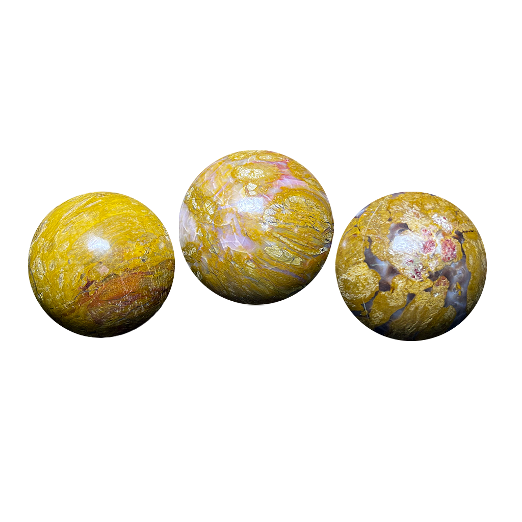 Petrified Wood Sphere (3pc/ Set)