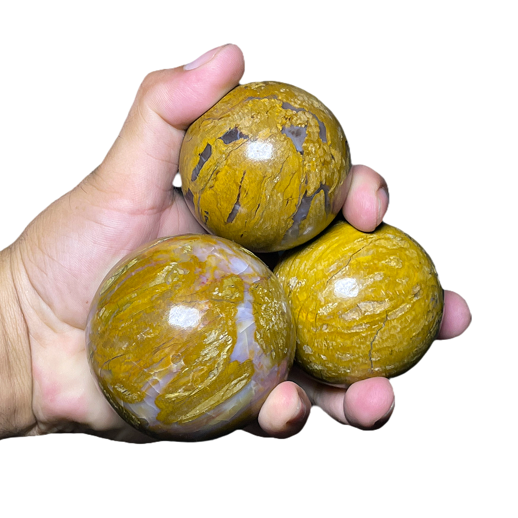 Petrified Wood Sphere (3pc/ Set)