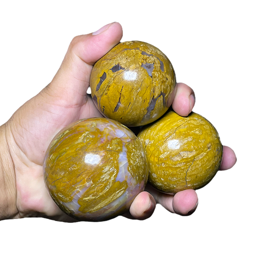 Petrified Wood Sphere (3pc/ Set)