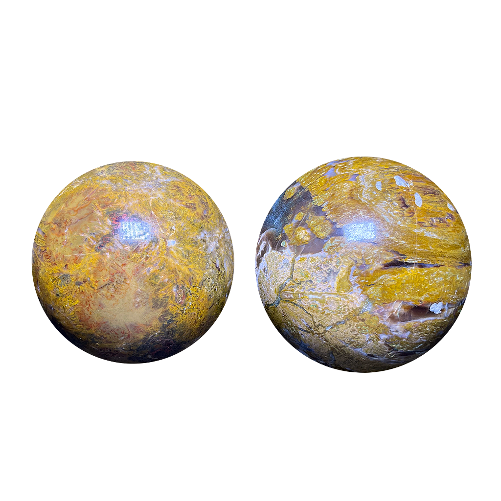 Petrified Wood Sphere (2pc/ Set)
