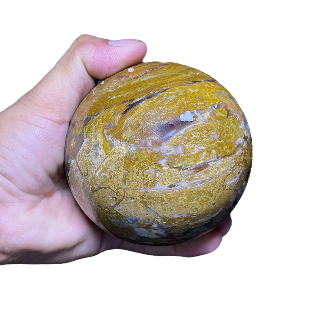 Petrified Wood Sphere (2pc/ Set)