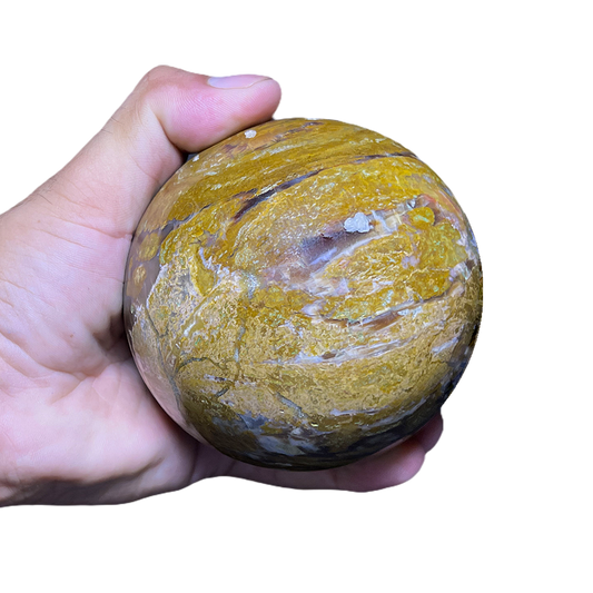 Petrified Wood Sphere (2pc/ Set)