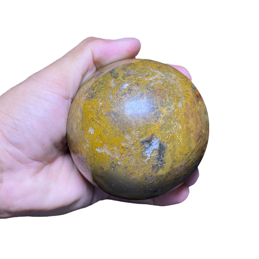Petrified Wood Sphere (2pc/ Set)