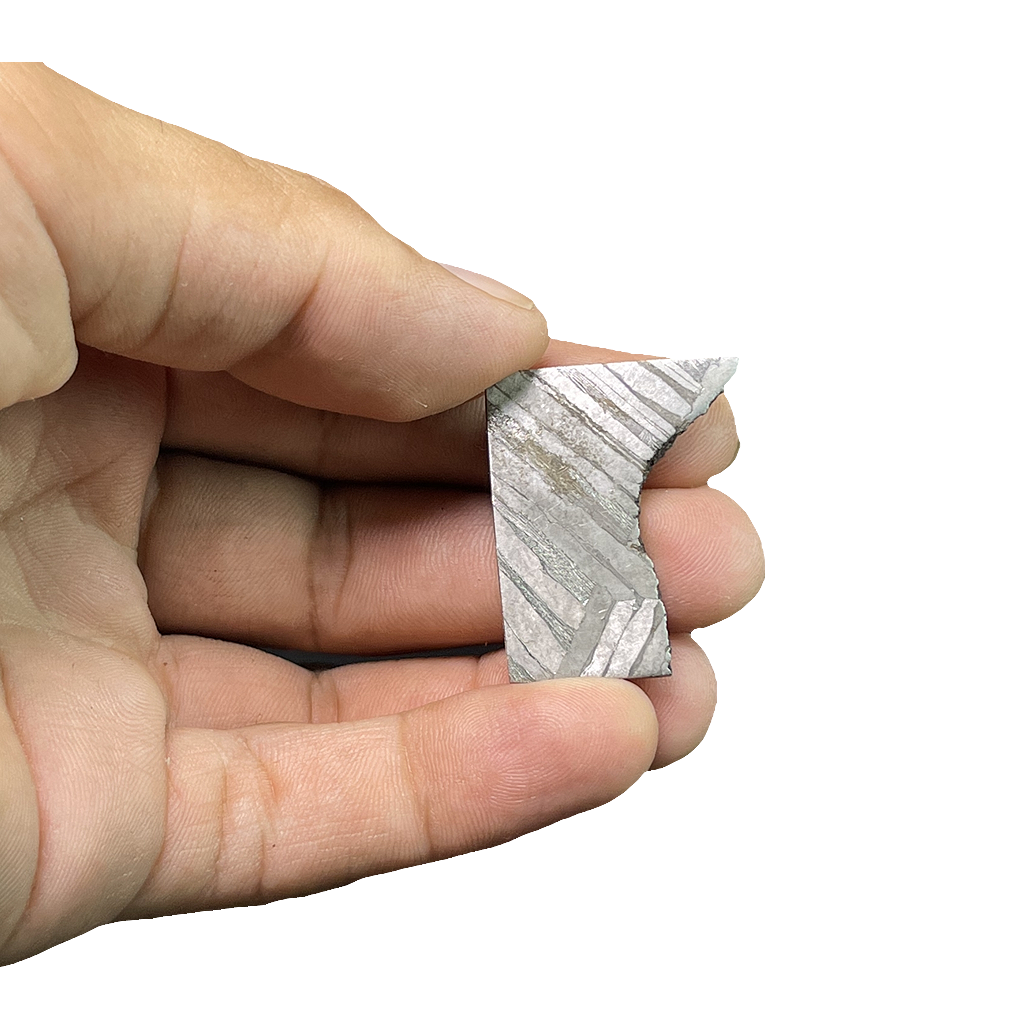 Muonionalusta Iron Meteorite