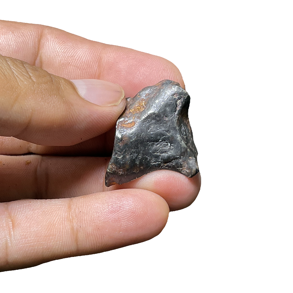 Shikote Iron Meteorite