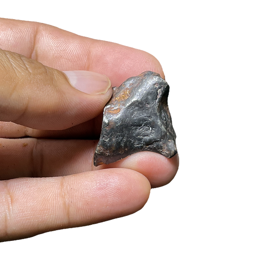 Shikote Iron Meteorite
