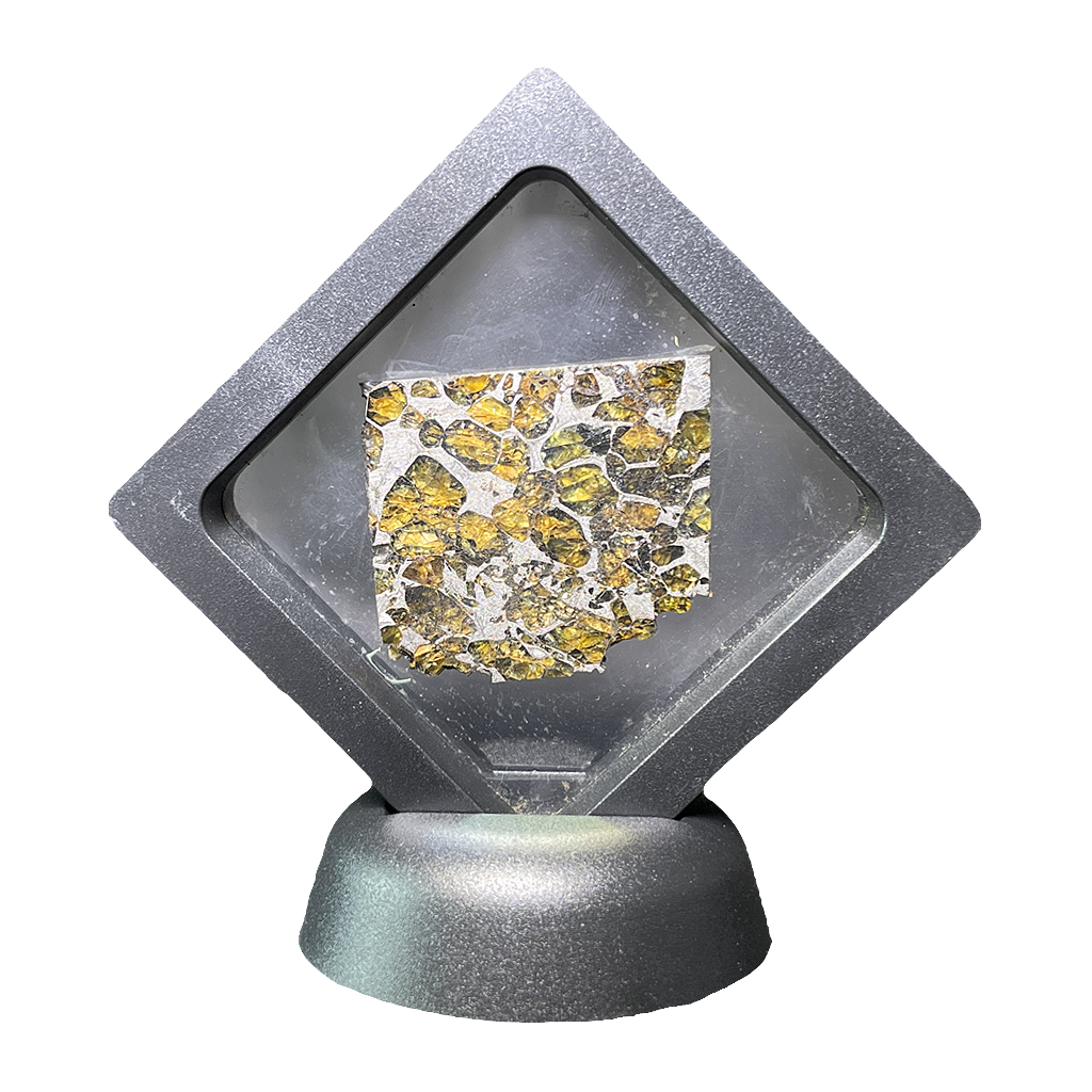 Springwater Pallasite Meteorite
