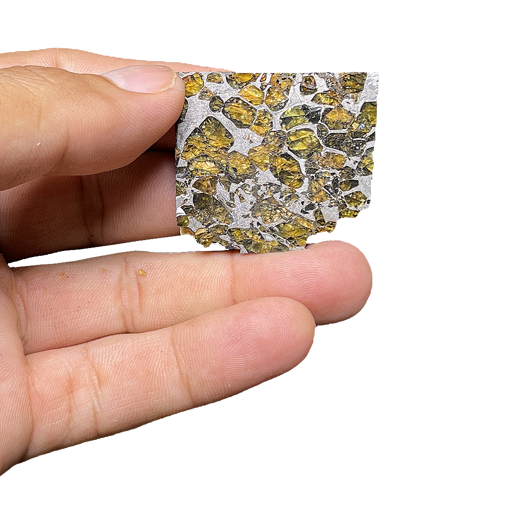 Springwater Pallasite Meteorite