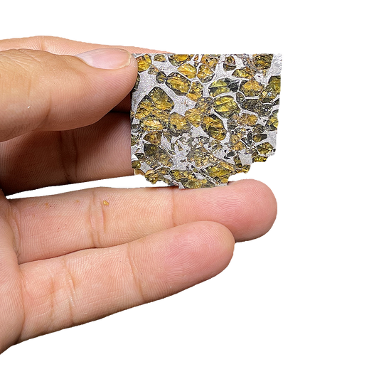 Springwater Pallasite Meteorite