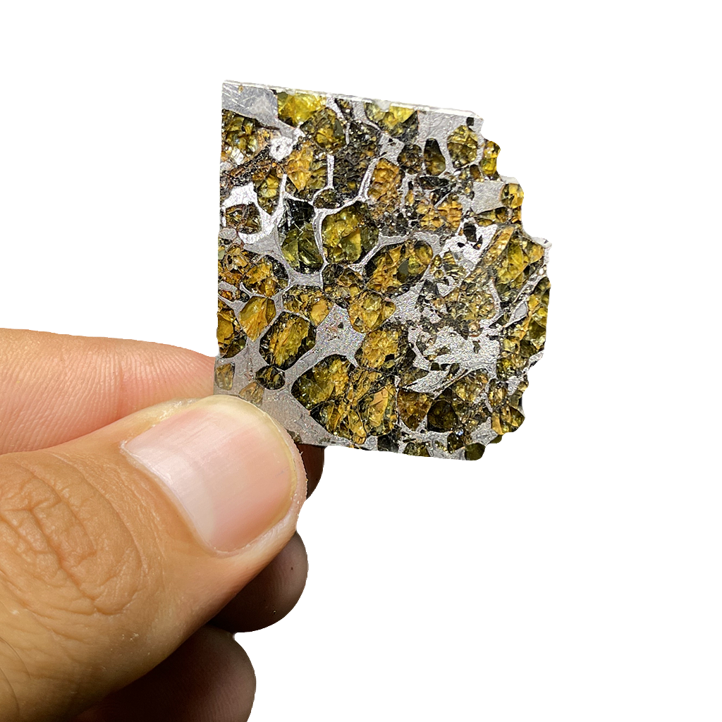Springwater Pallasite Meteorite