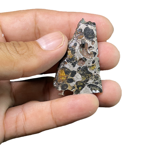 Seymchan Pallasite Meteorite