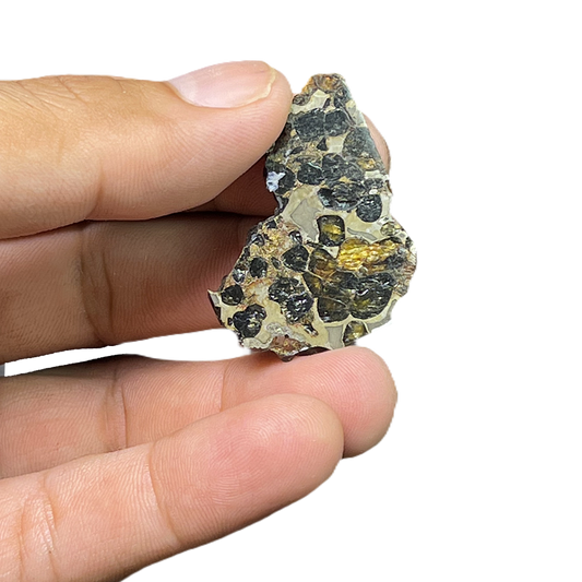 Seymchan Pallasite Meteorite