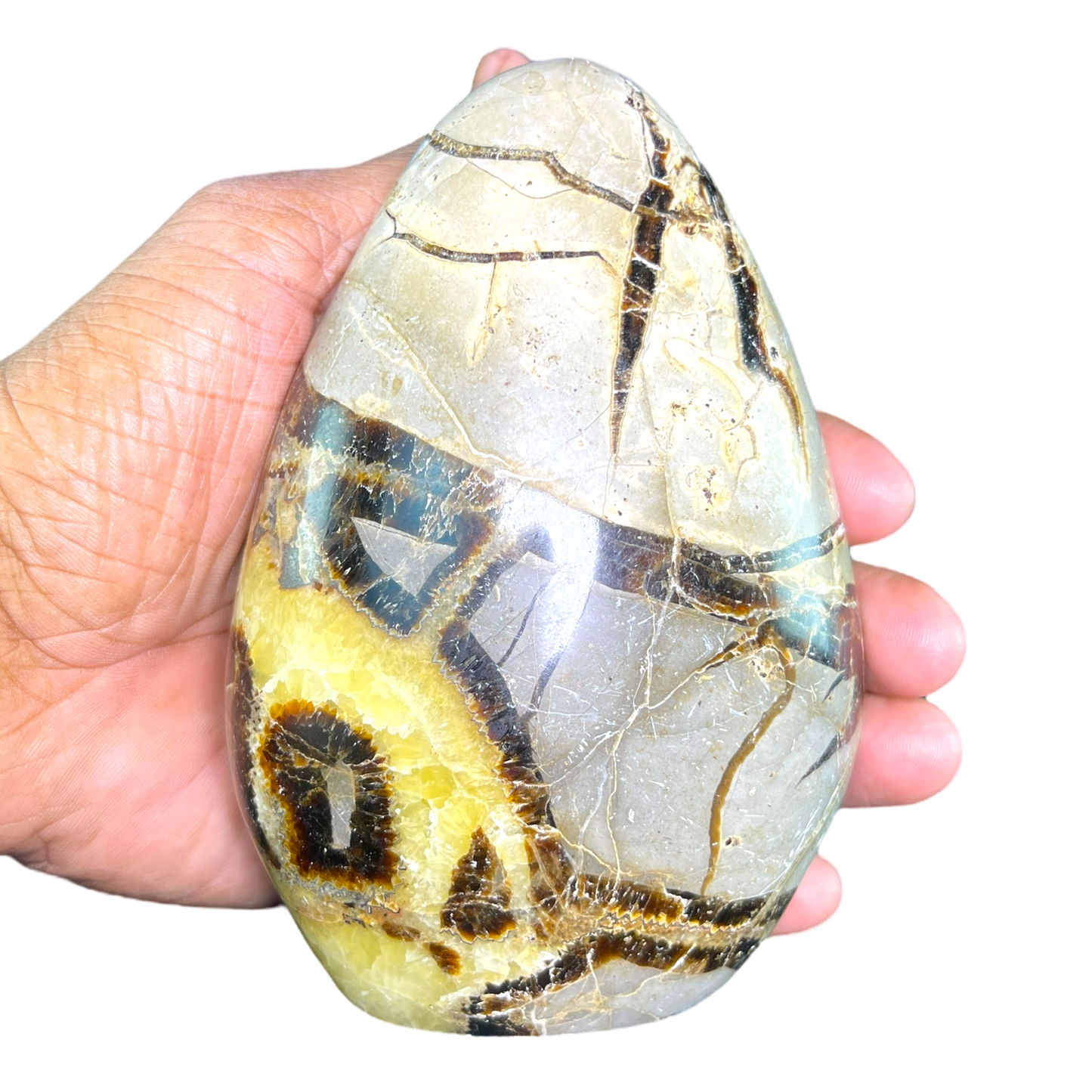 Septerian Agate