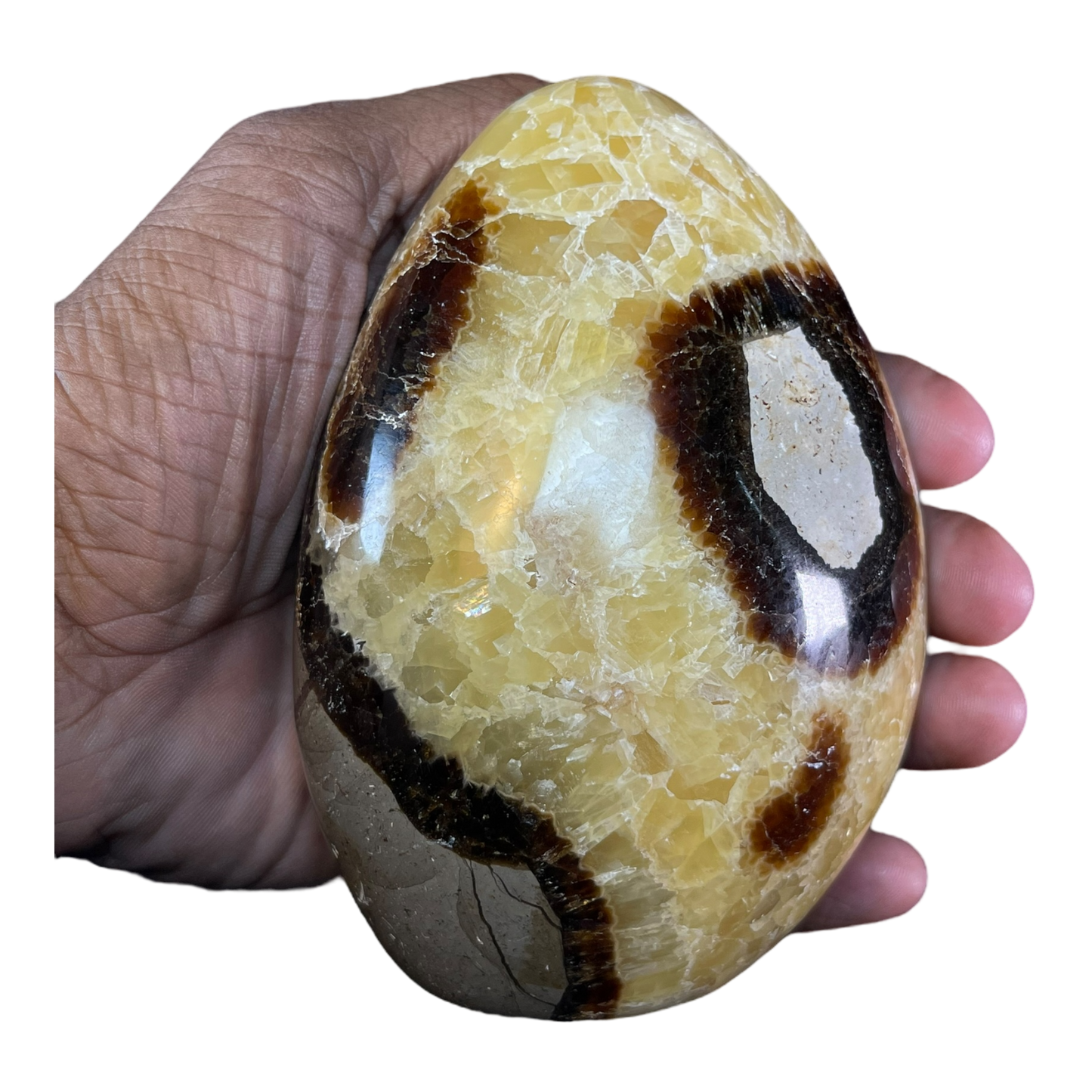 Septerian Agate