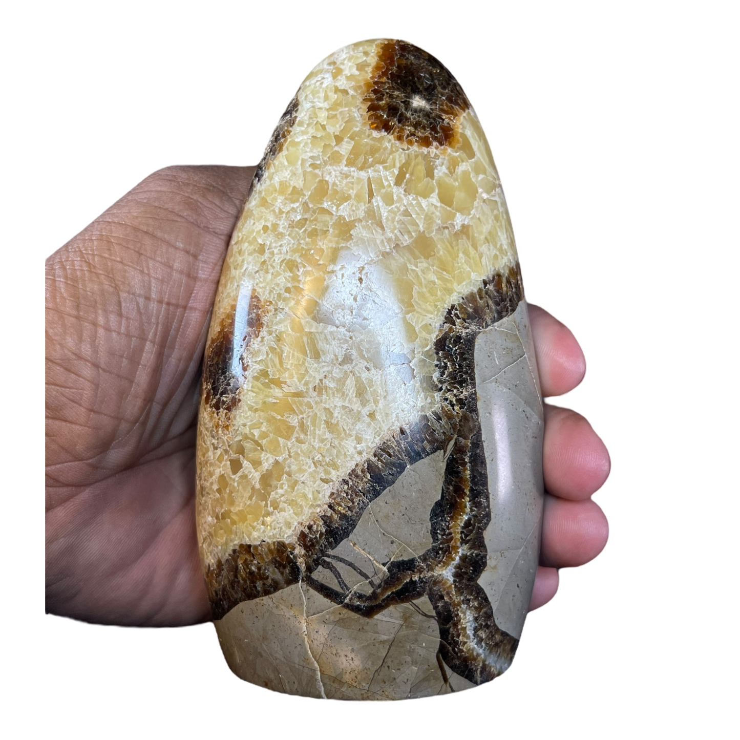 Septerian Agate