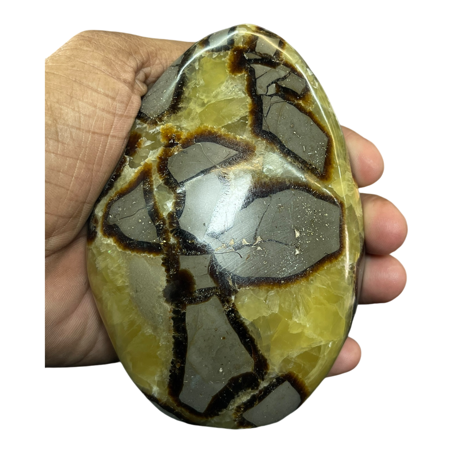 Septerian Agate