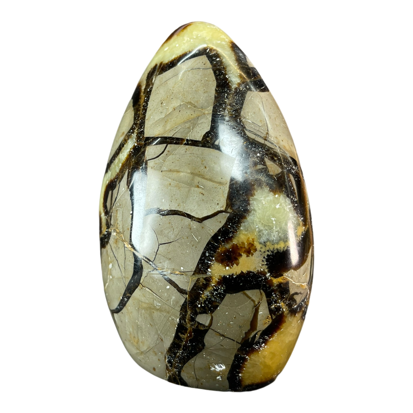 Septerian Agate