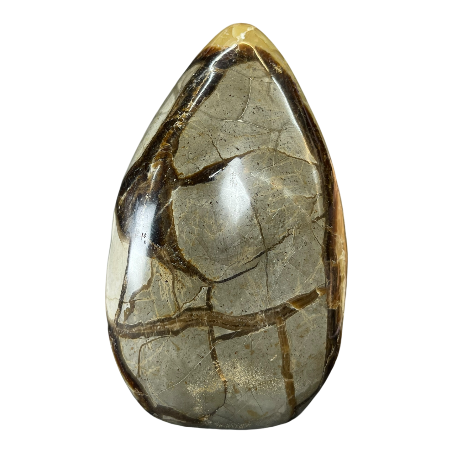 Septerian Agate