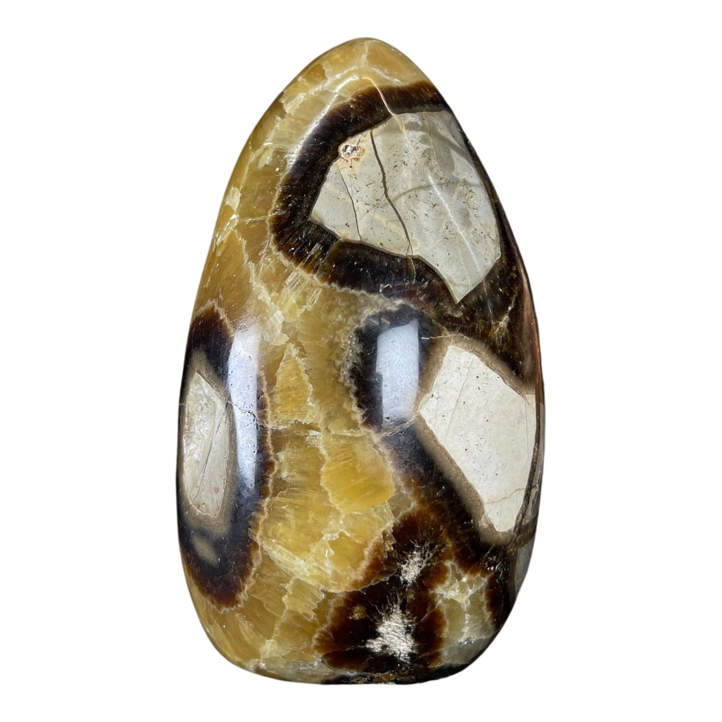Septerian Agate