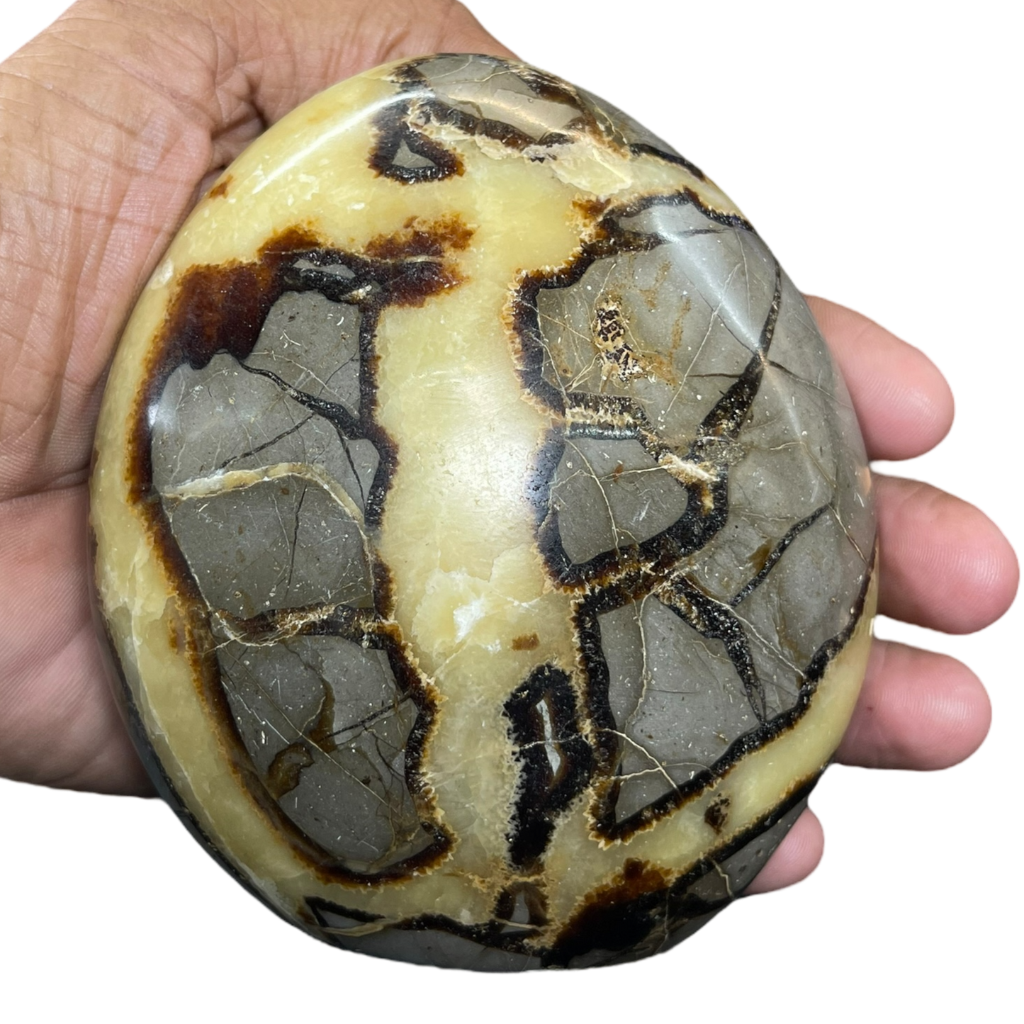 Septerian Agate