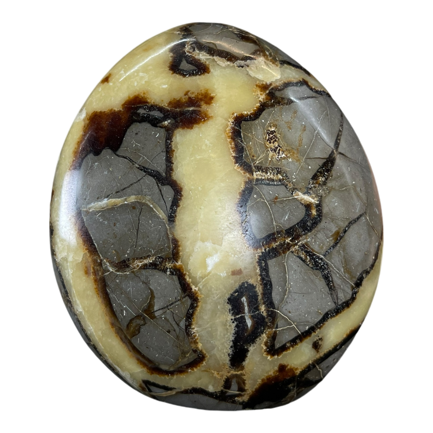 Septerian Agate