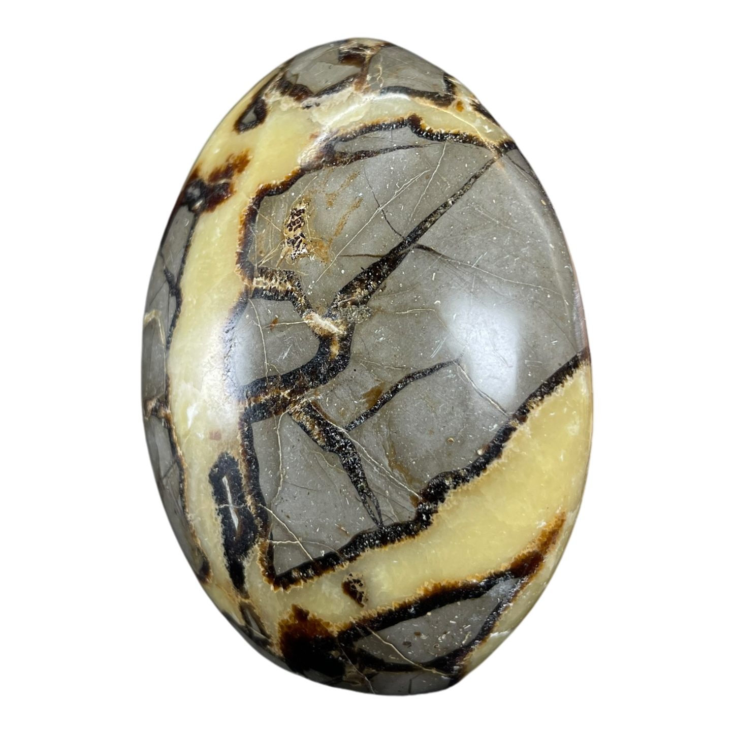 Septerian Agate